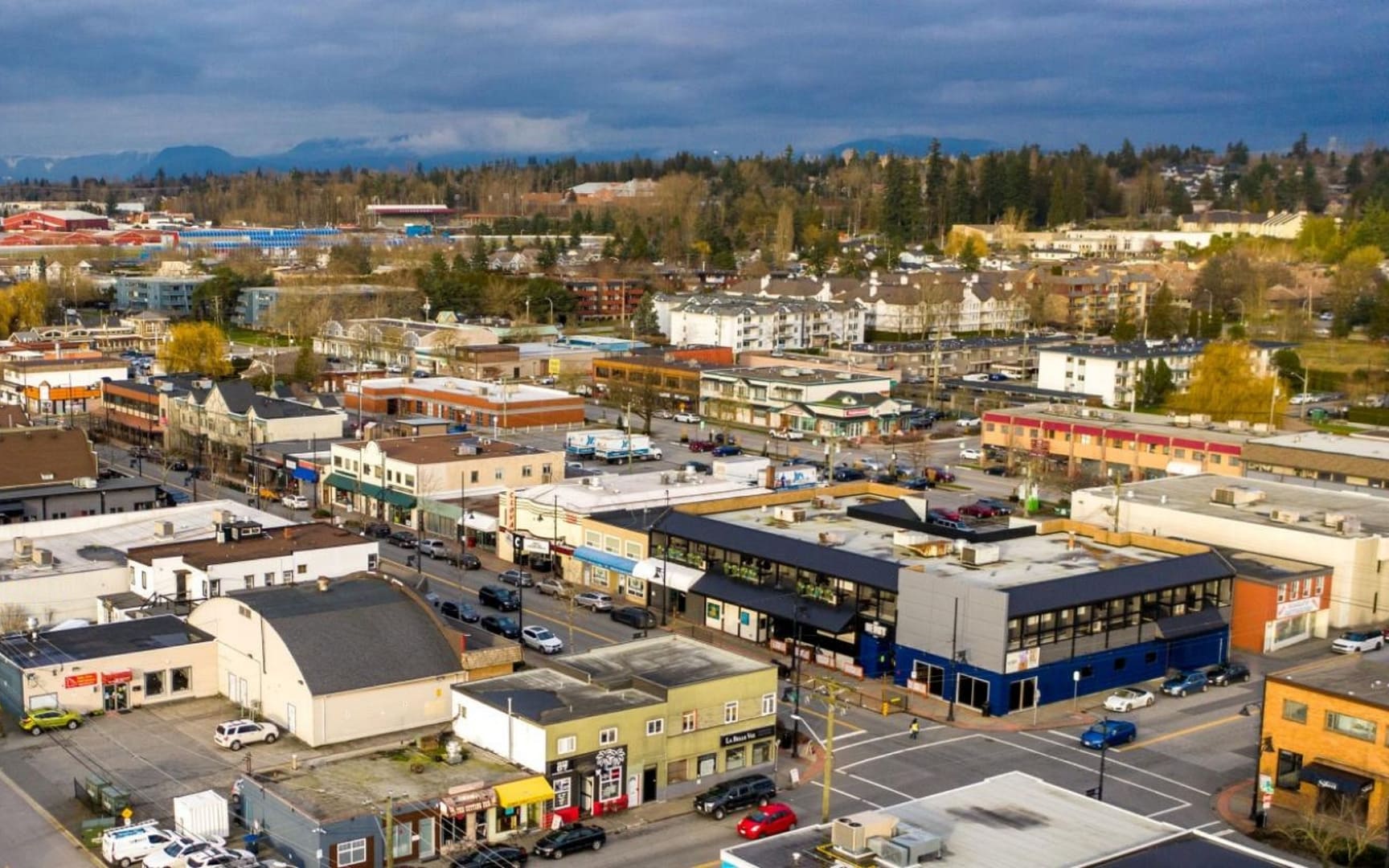 commercial realtor surrey