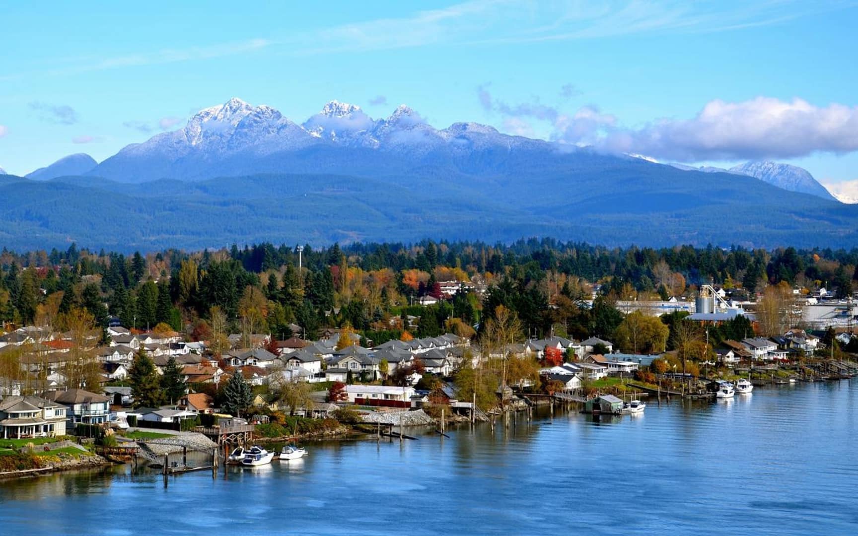 realtor ca surrey