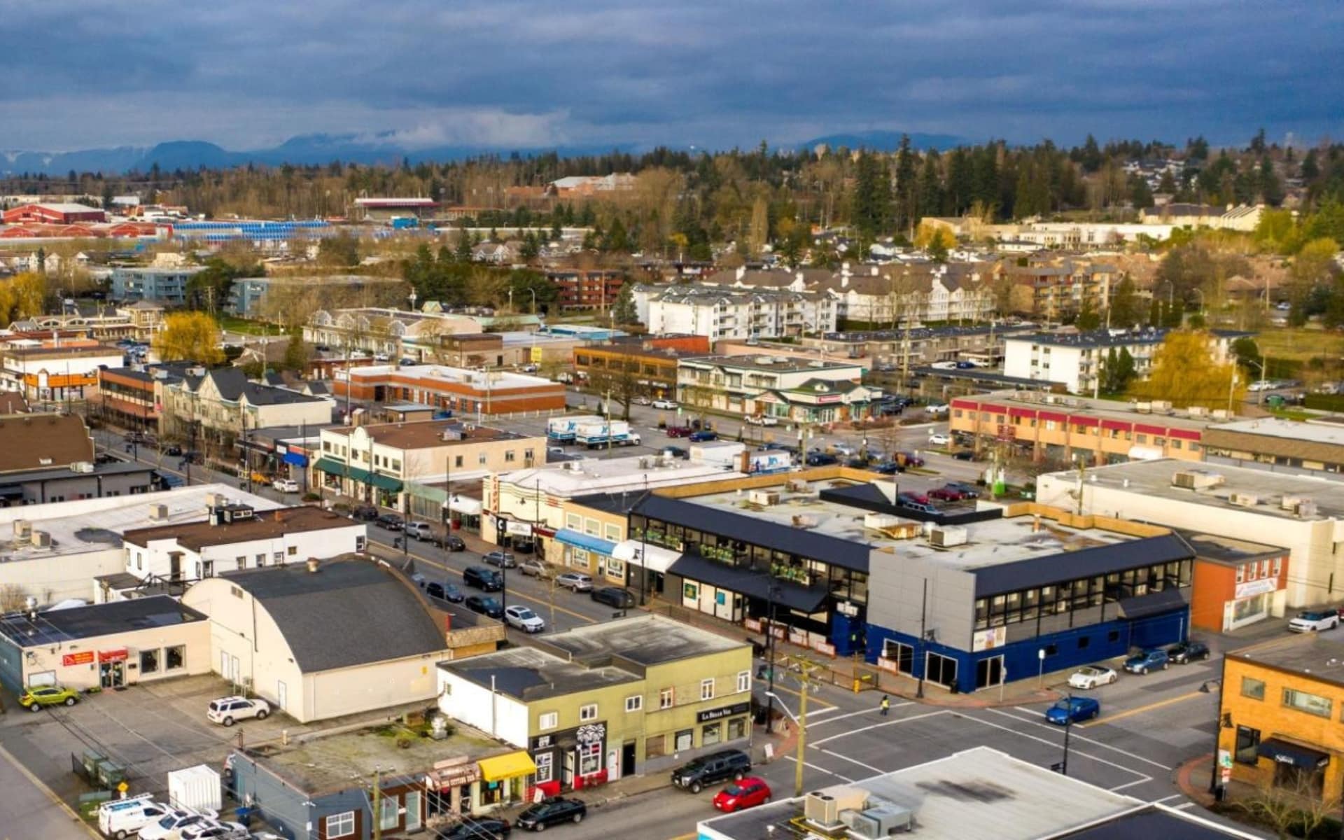commercial realtor surrey