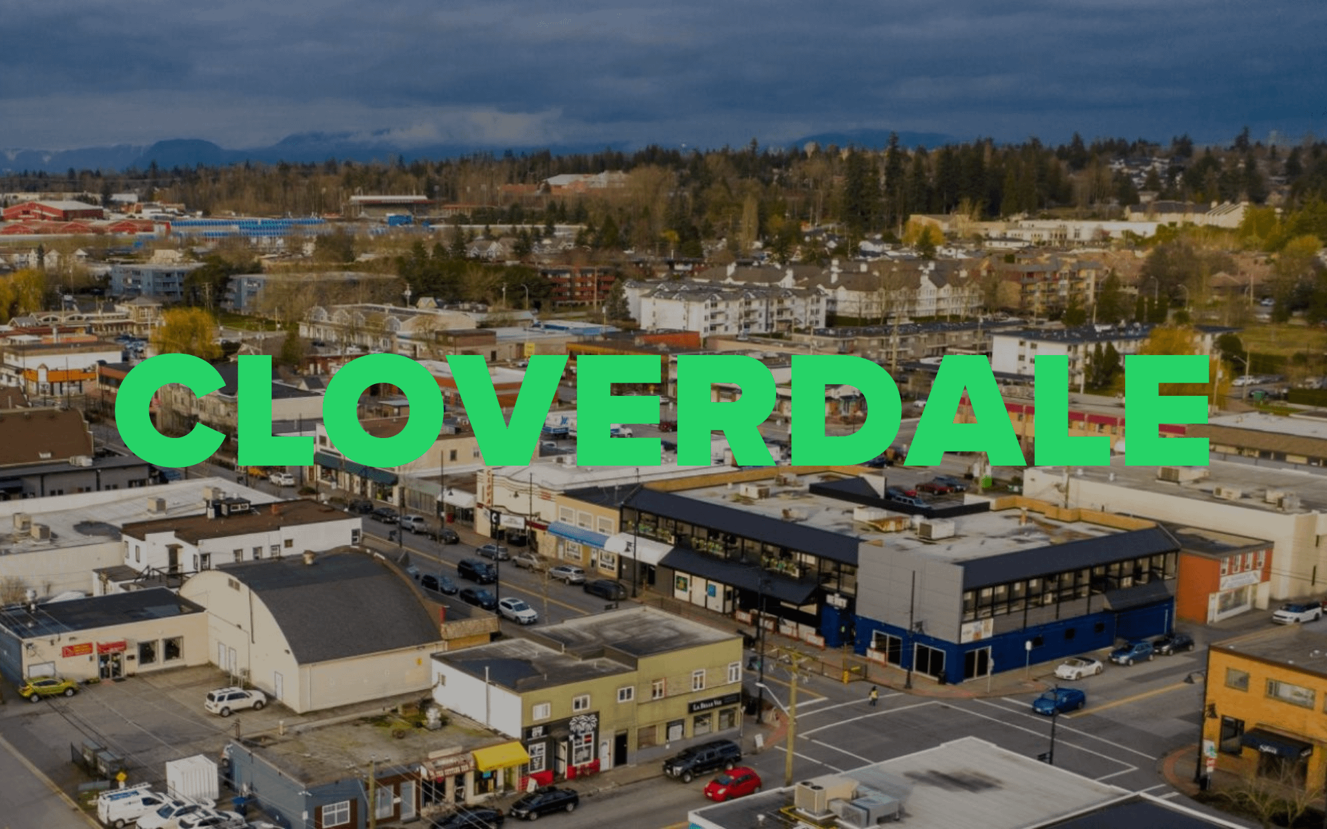 south surrey realtors